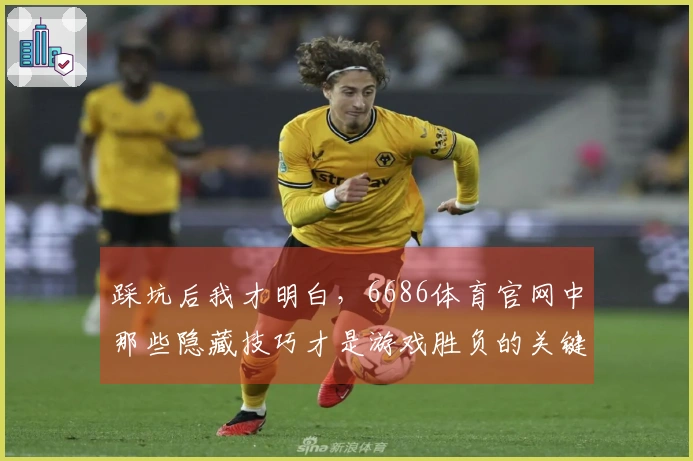 踩坑后我才明白，6686体育官网中那些隐藏技巧才是游戏胜负的关键！